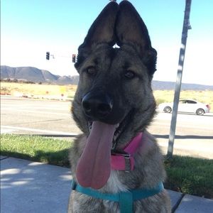 Meet your Posher, Haley